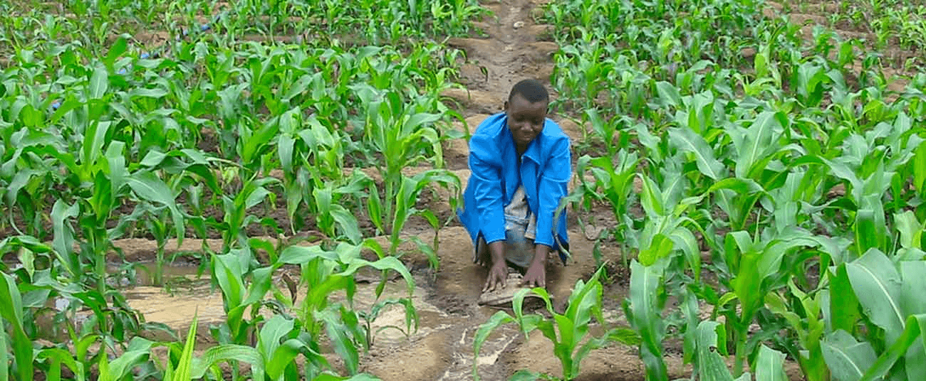 Illustration — Niger : la BAD lâche 180 millions USD pour l'agriculture des jeunes, mais qui contrôle vraiment les fonds sous la junte ?