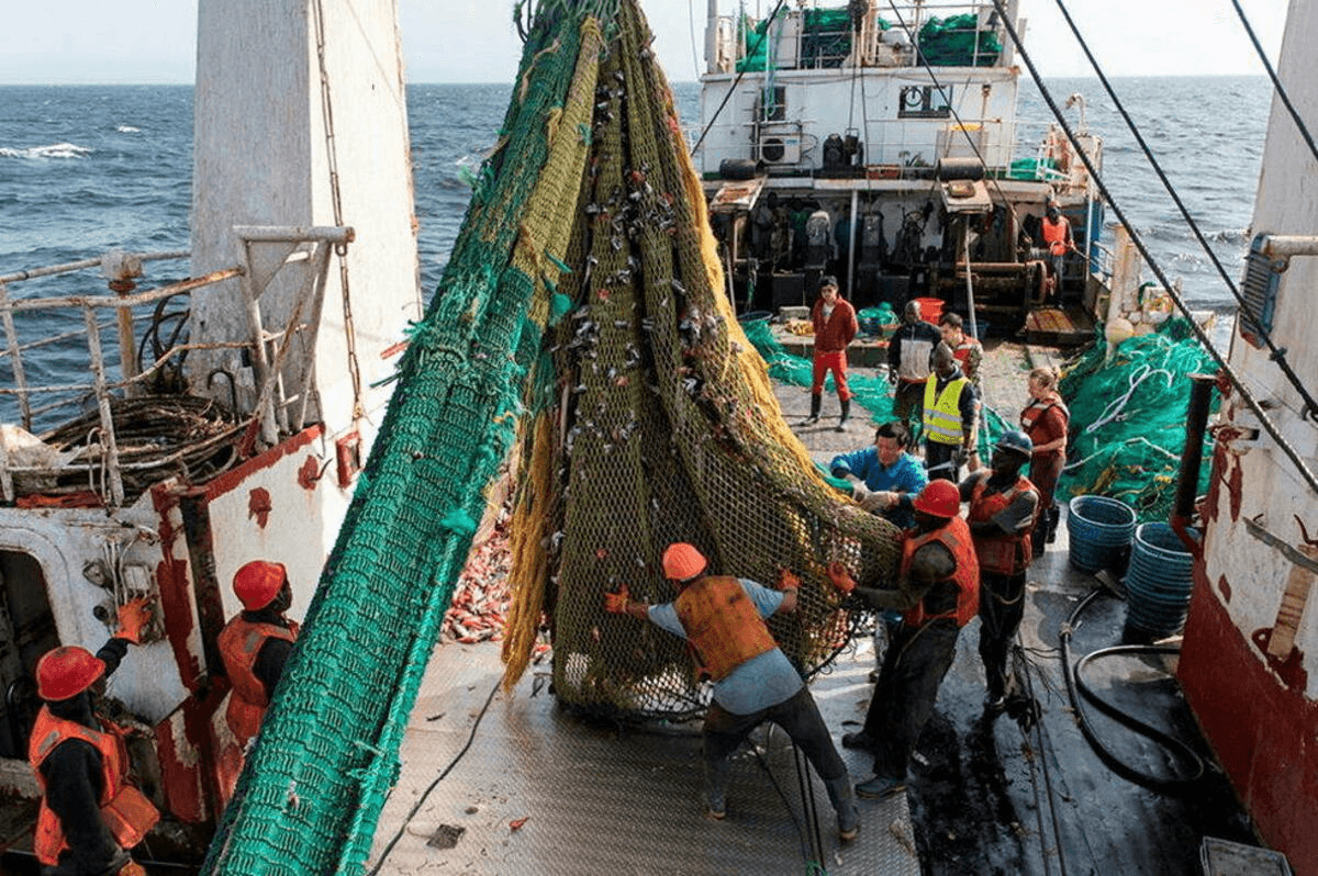 Illustration — Pêche illicite dans le Golfe de Guinée : les bateaux asiatiques qui volent le poisson africain en toute impunité