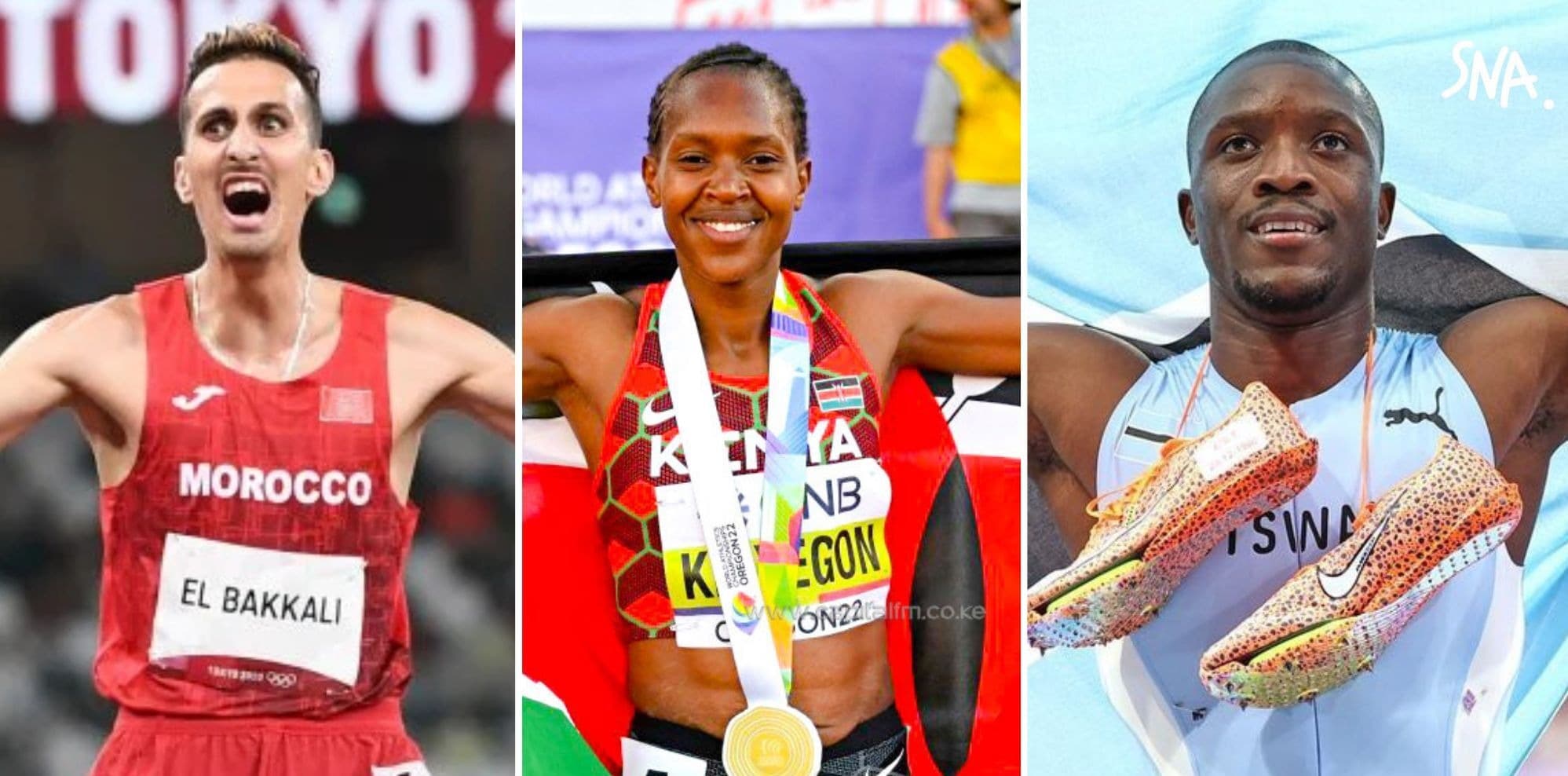 Illustration — Diamond League Stockholm : l'Afrique brille, records et médailles pour le continent