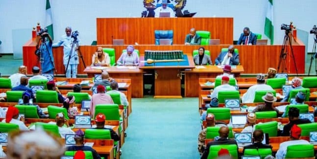 Illustration — Nigeria : la Chambre adopte le projet de police d'État, 289 voix pour, 4 contre, le Sénat tranche en juillet