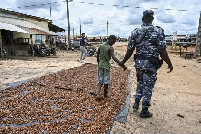 Illustration — Côte d'Ivoire : Save the Children et l'International Cocoa Initiative scellent un protocole pour protéger les enfants des zones cacaoyères, plus de 2 500 retirés du travail dangereux depuis 2013