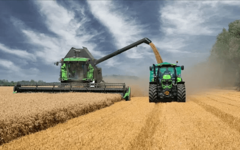 Illustration — Maroc : 90 millions de quintaux de céréales, après 7 ans de sécheresse, la renaissance agricole