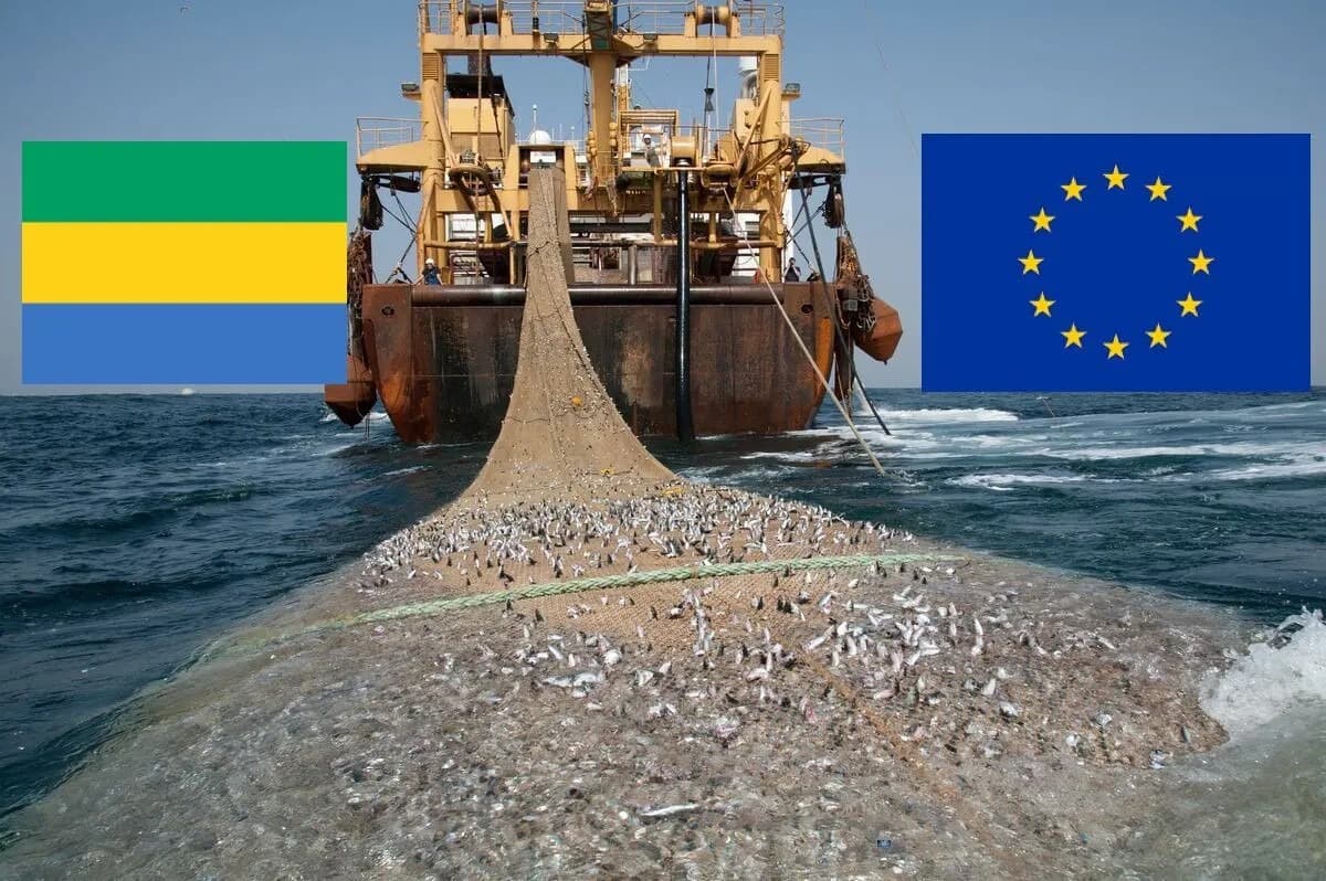 Illustration — Gabon : l'accord de pêche avec l'Union européenne expire le 28 juin, Libreville veut la transformation locale, pas les 2,6 millions €