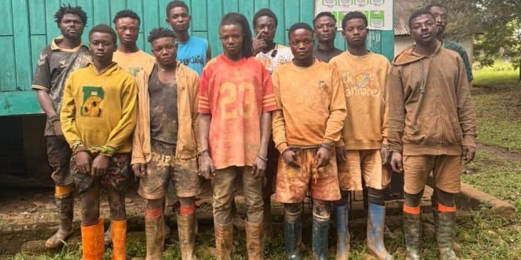 Illustration - Ghana : douze orpailleurs clandestins arrêtés dans la forêt qui alimente Accra en eau