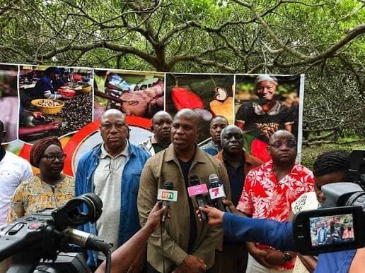 Illustration - Côte d'Ivoire : la filière anacarde relance la réhabilitation de ses vergers